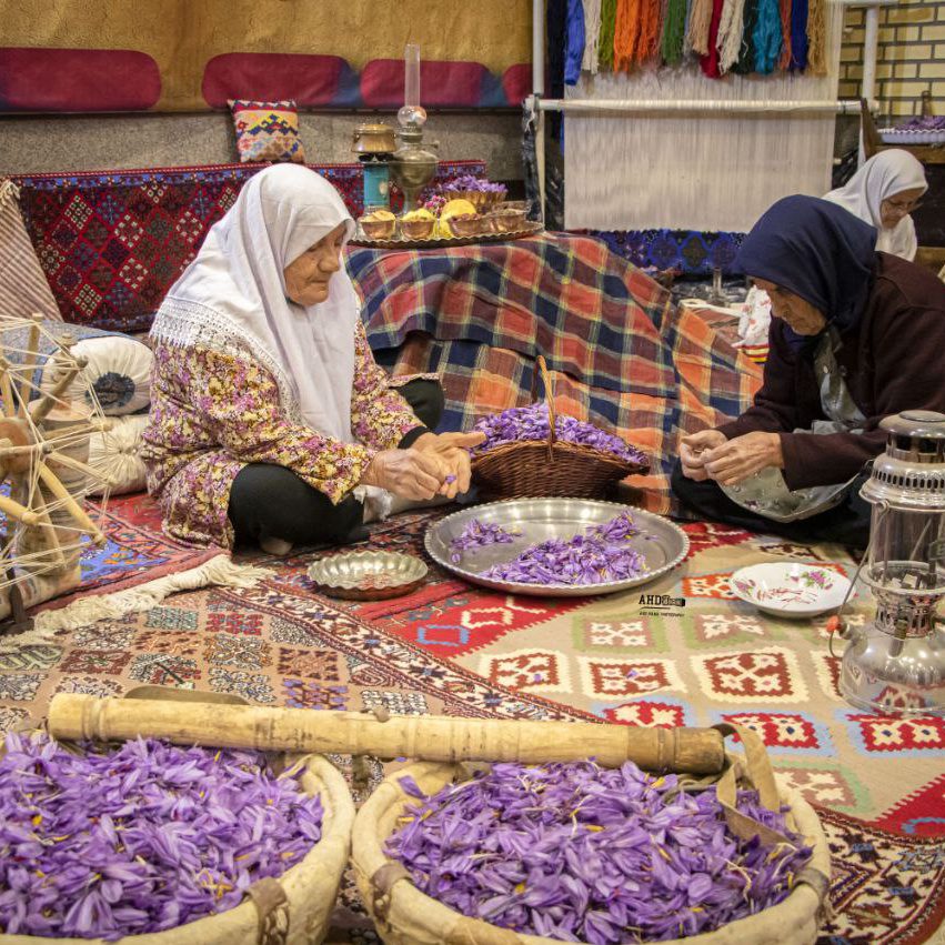 جشنواره زعفران ازان